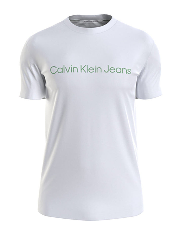 CALVIN KLEIN  t-Shirt Logo Colors Uomo |  JEK PIT