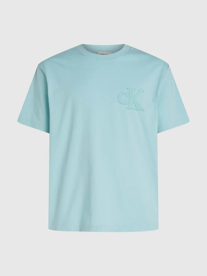 CALVIN KLEIN  t-Shirt Ck Ricamato Uomo |  JEK PIT