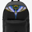 BLACK-BLUE WINGS