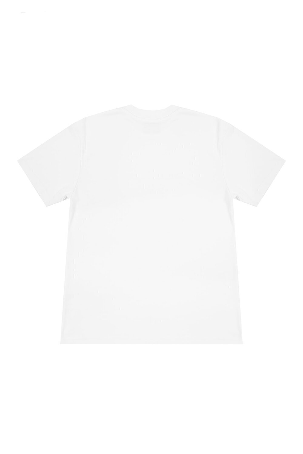 JALMES  t-Shirt Cotton Interl 4win Uomo |  JEK PIT