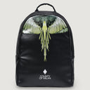BLACK-YELLOW WINGS