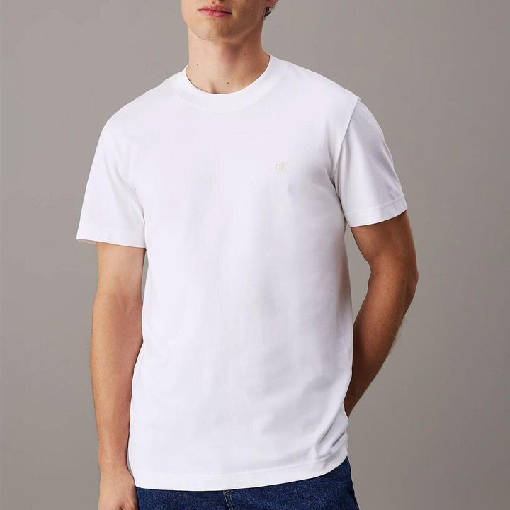 CALVIN KLEIN  t-Shirt Girocollo Basic Logo Piccolo Uomo |  JEK PIT